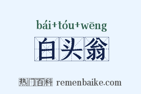白头翁是什么意思的图片